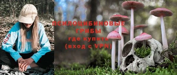 скорость Алексеевка