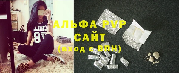 гашик Няндома